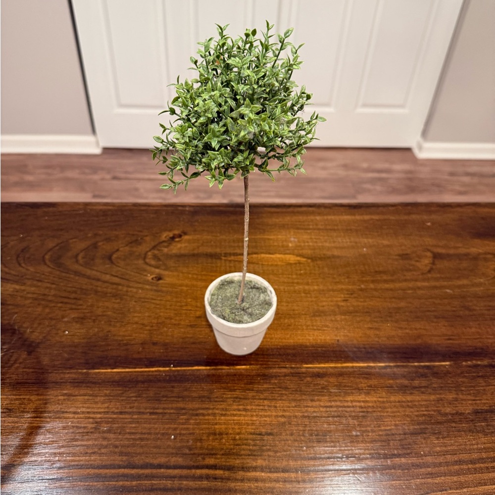 Faux Thyme Topiary Tree in Pot 13” Artificial Plant